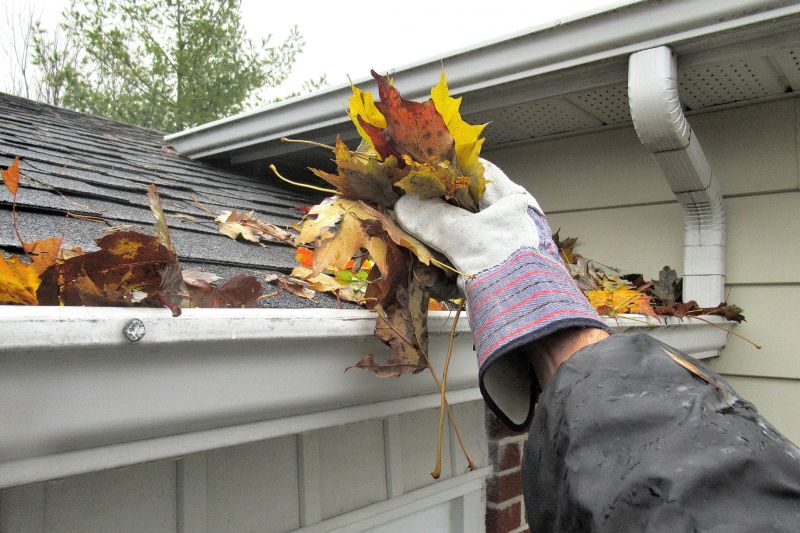 Inspecting Gutters for Damage