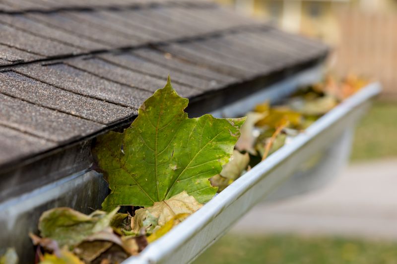 Clogged Gutter Blockages