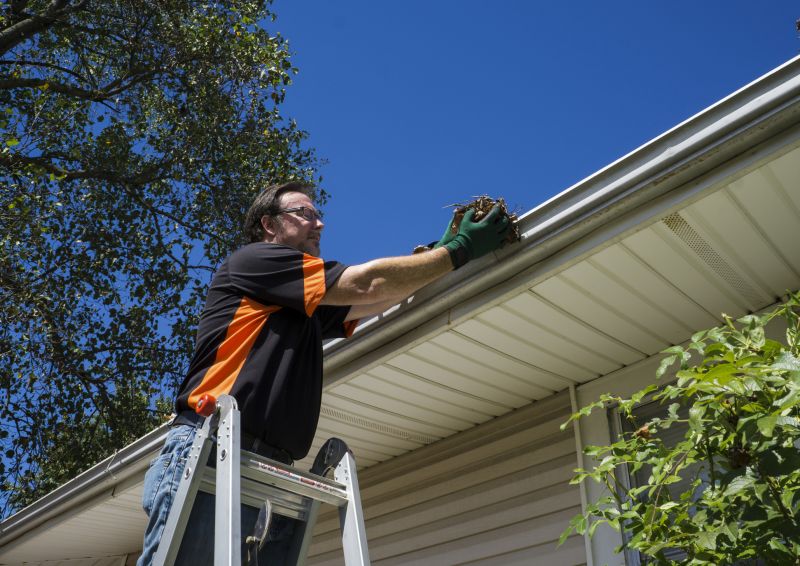 Gutter Cleaning Experts